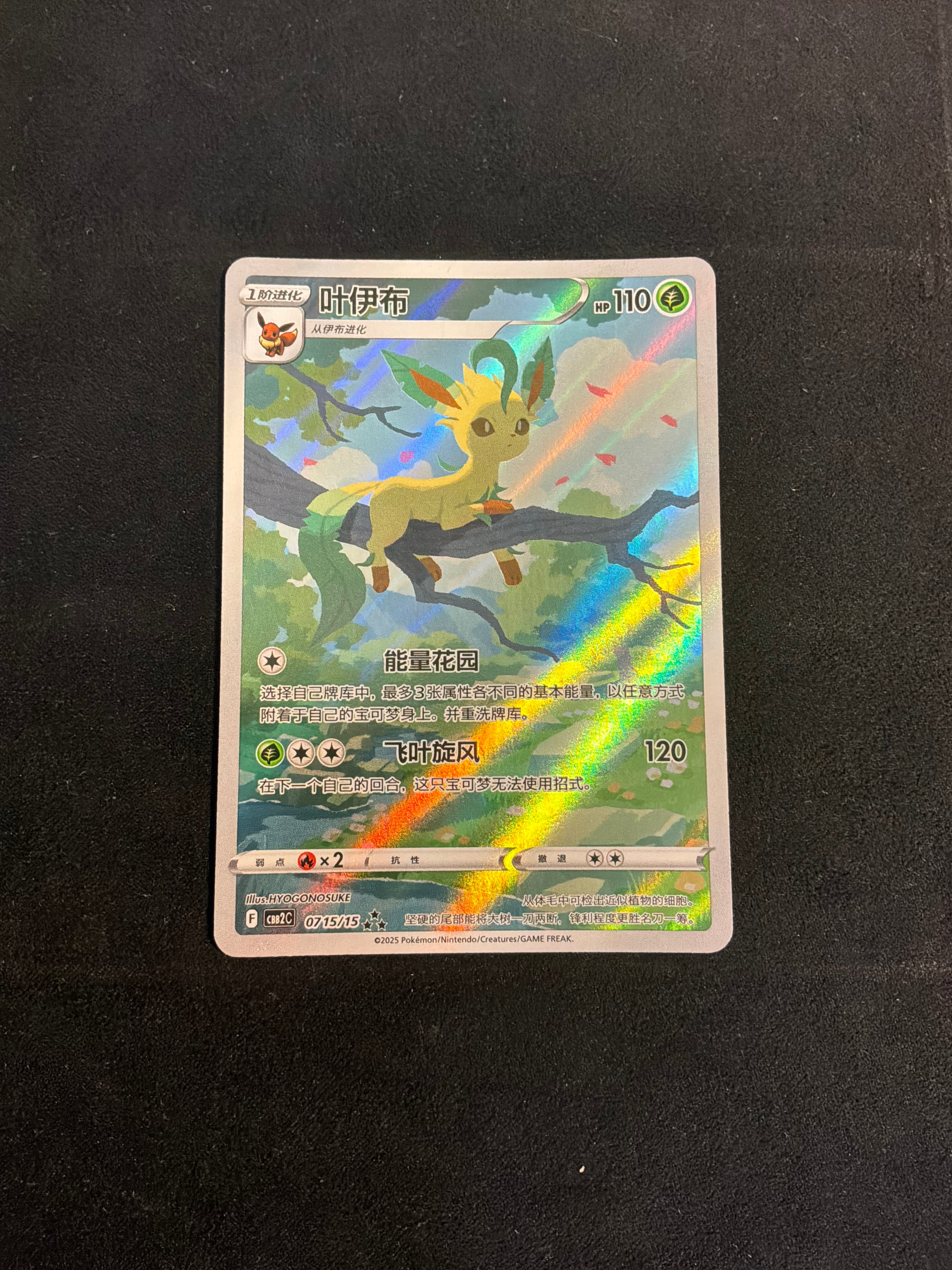 Leafeon 0715/15