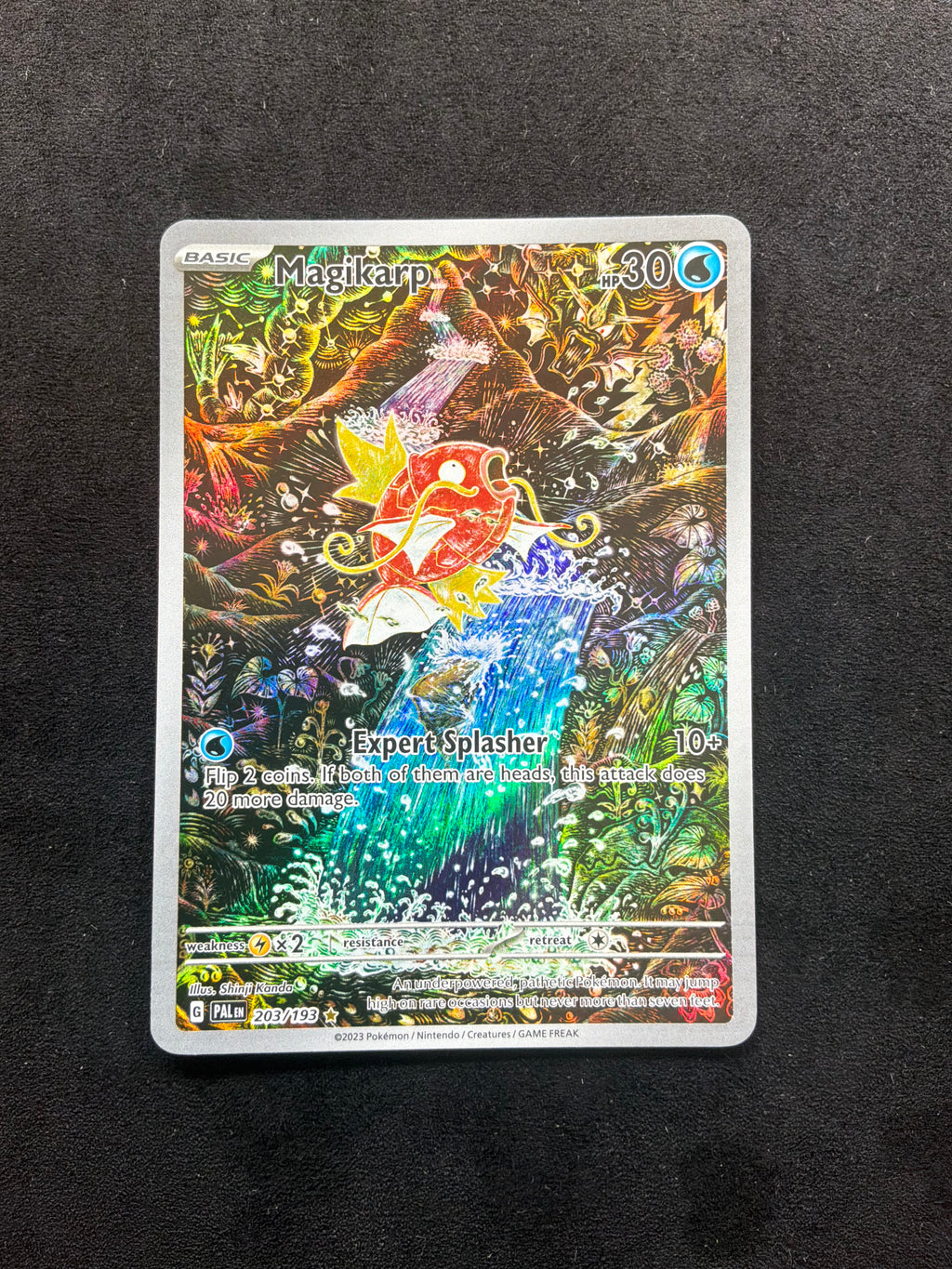 Magikarp 203/193