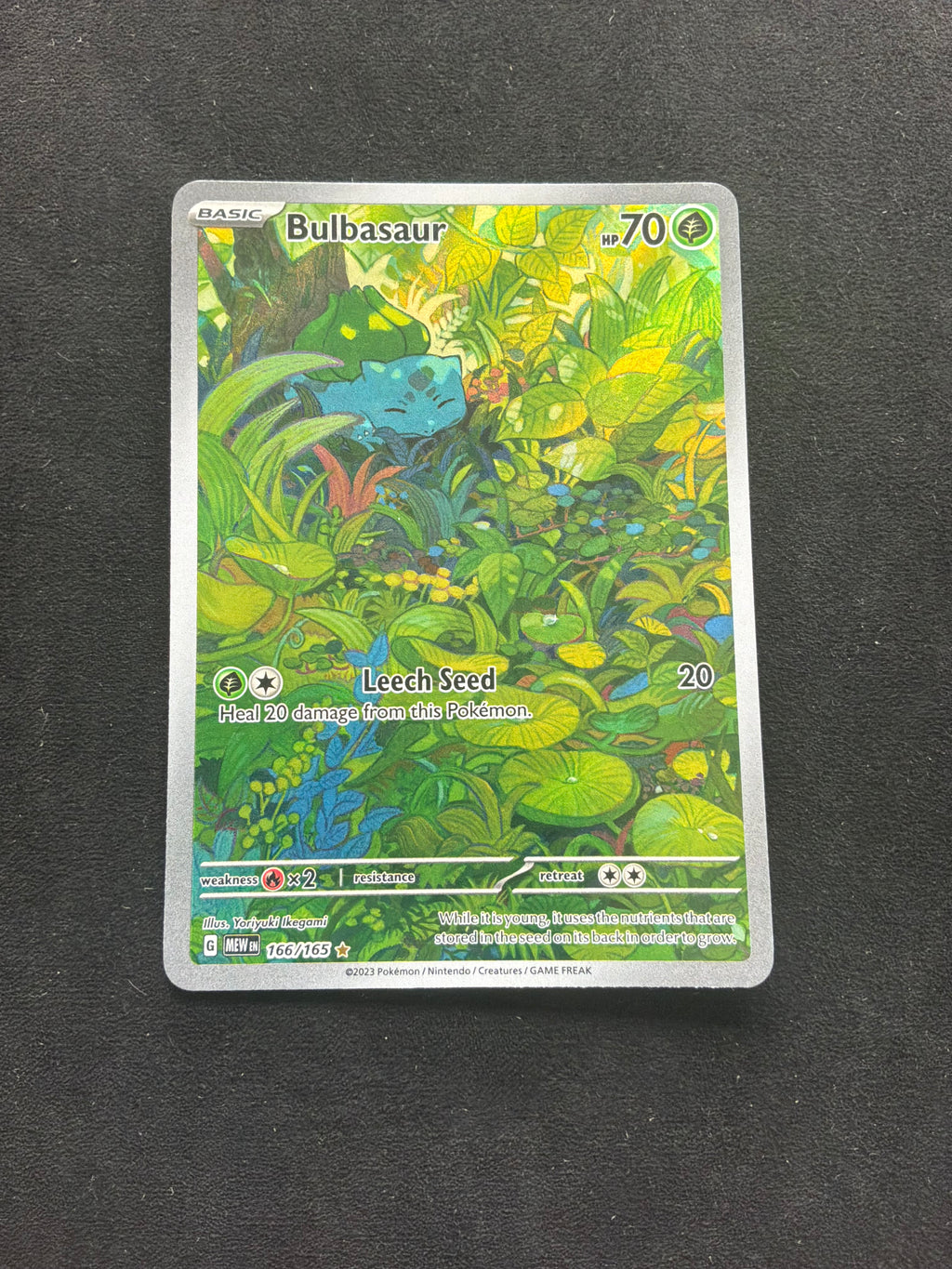 Bulbasaur 166/165
