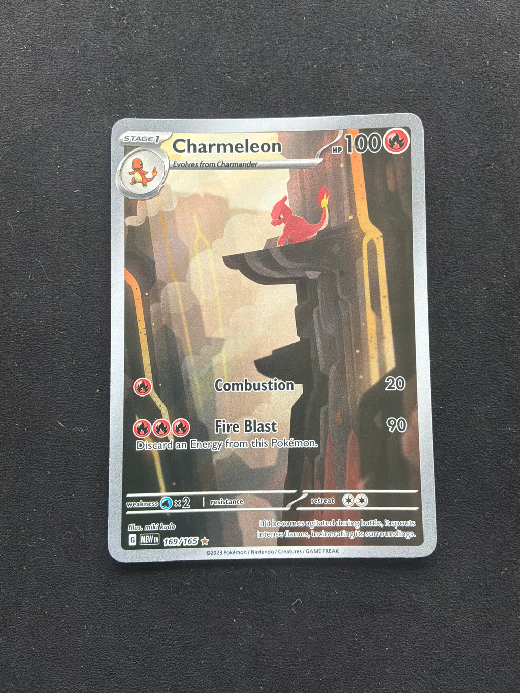 Charmeleon 169/165