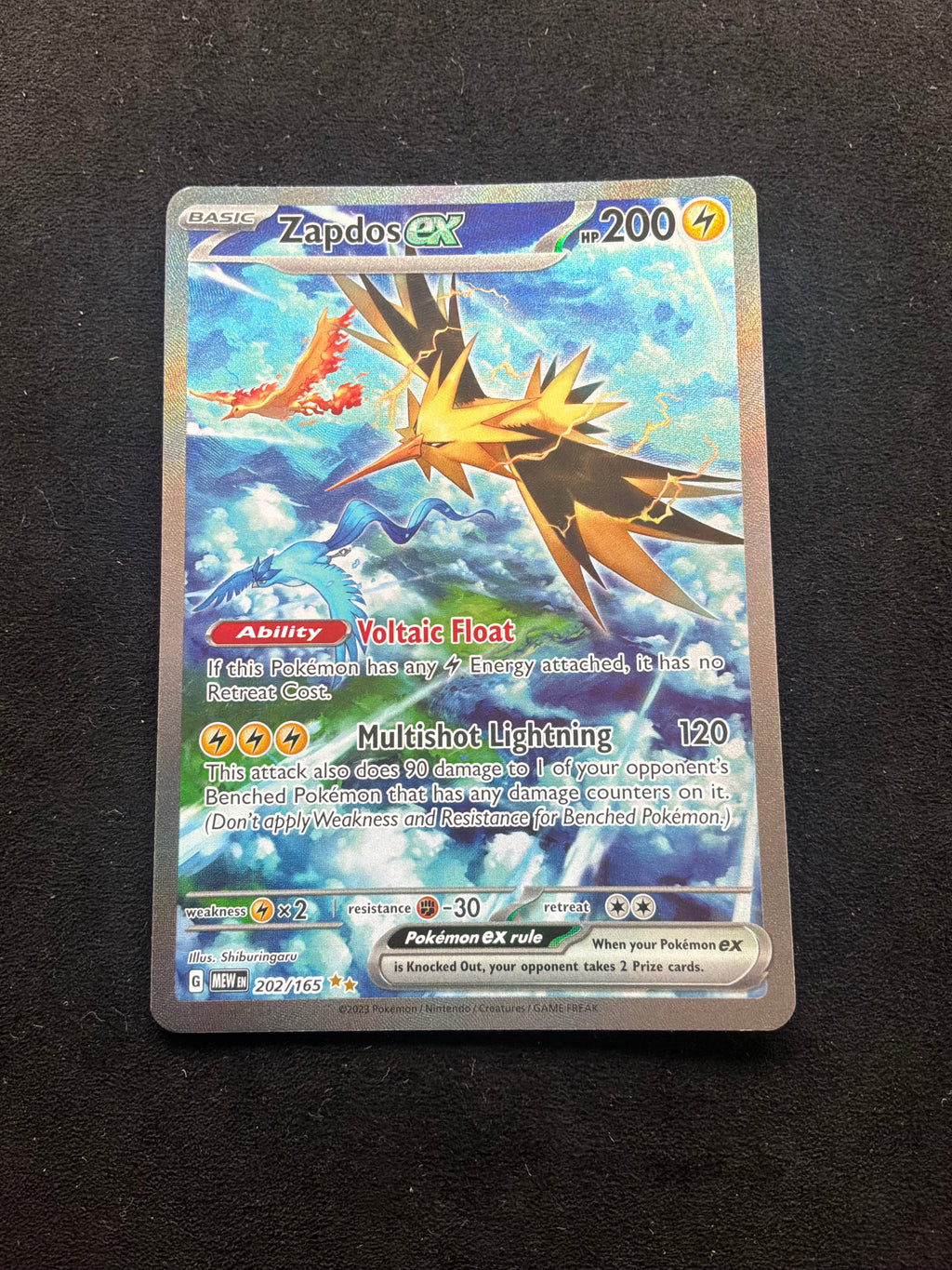 Zapdos 202/165