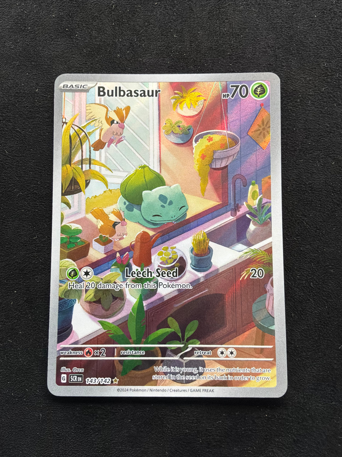 Bulbasaur 143/142