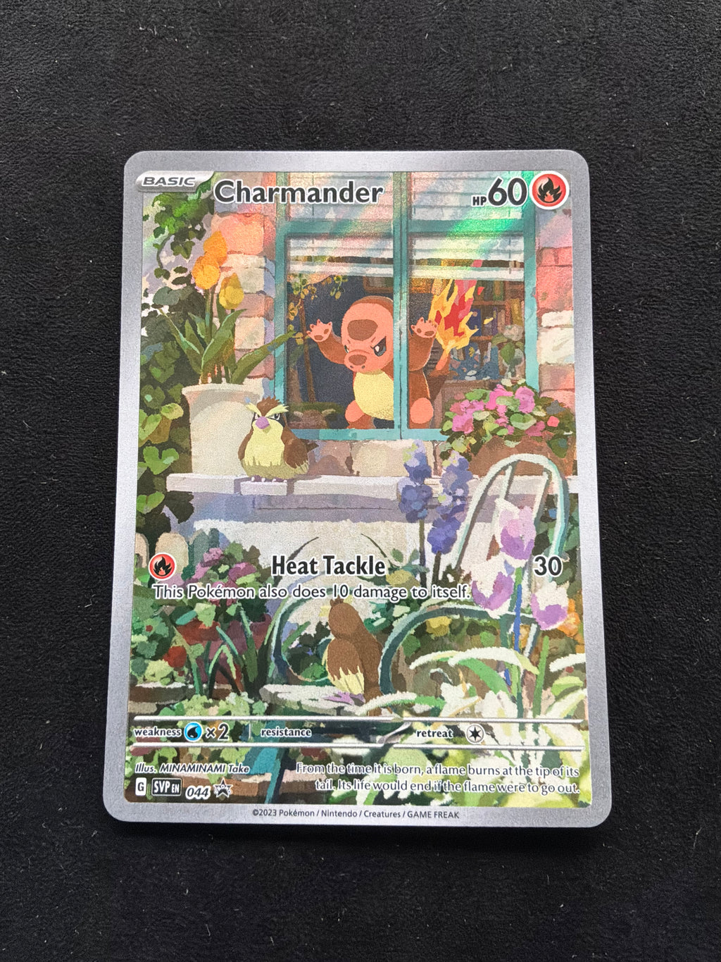 Charmander 044