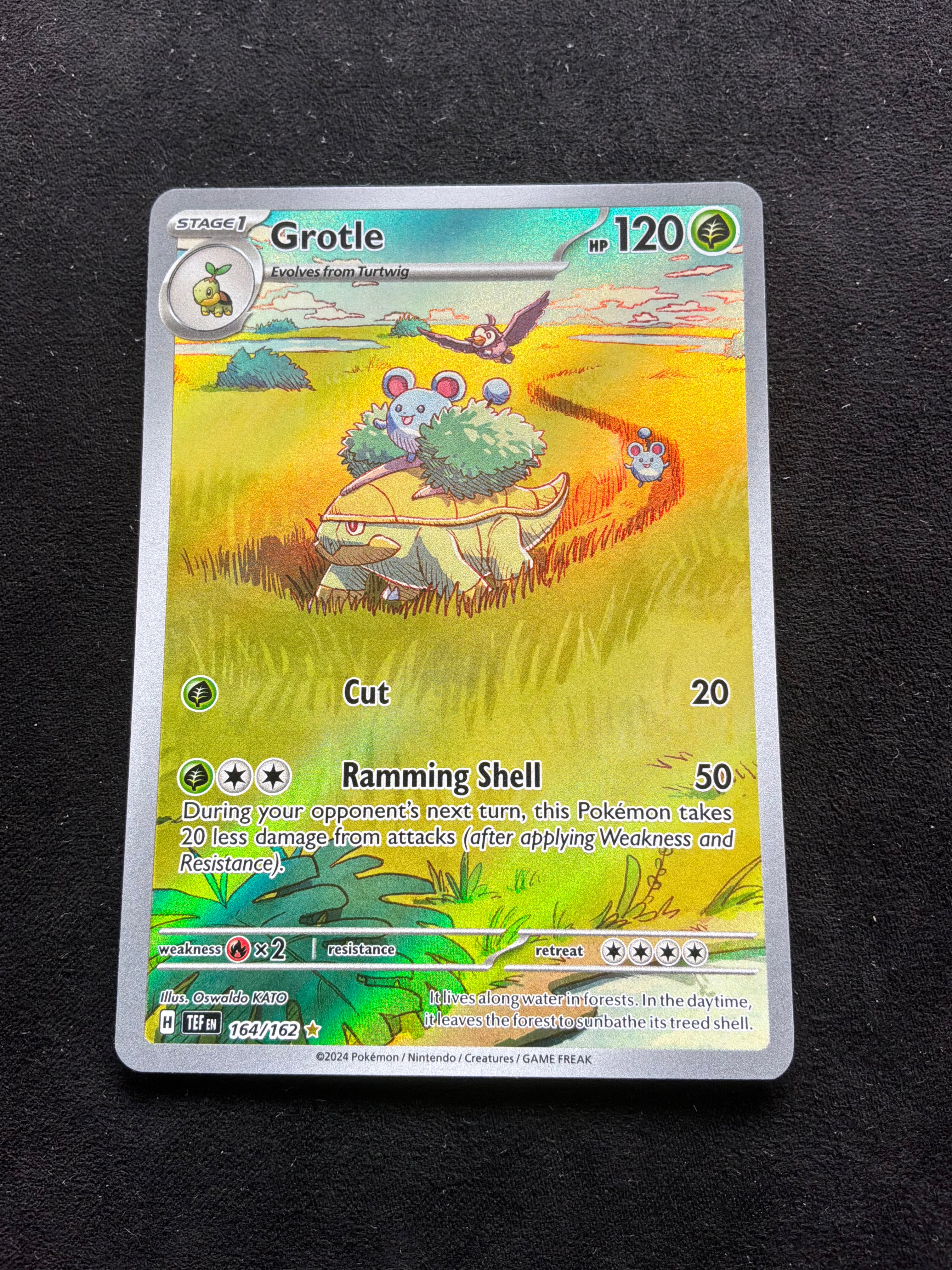 Grotle 164/162