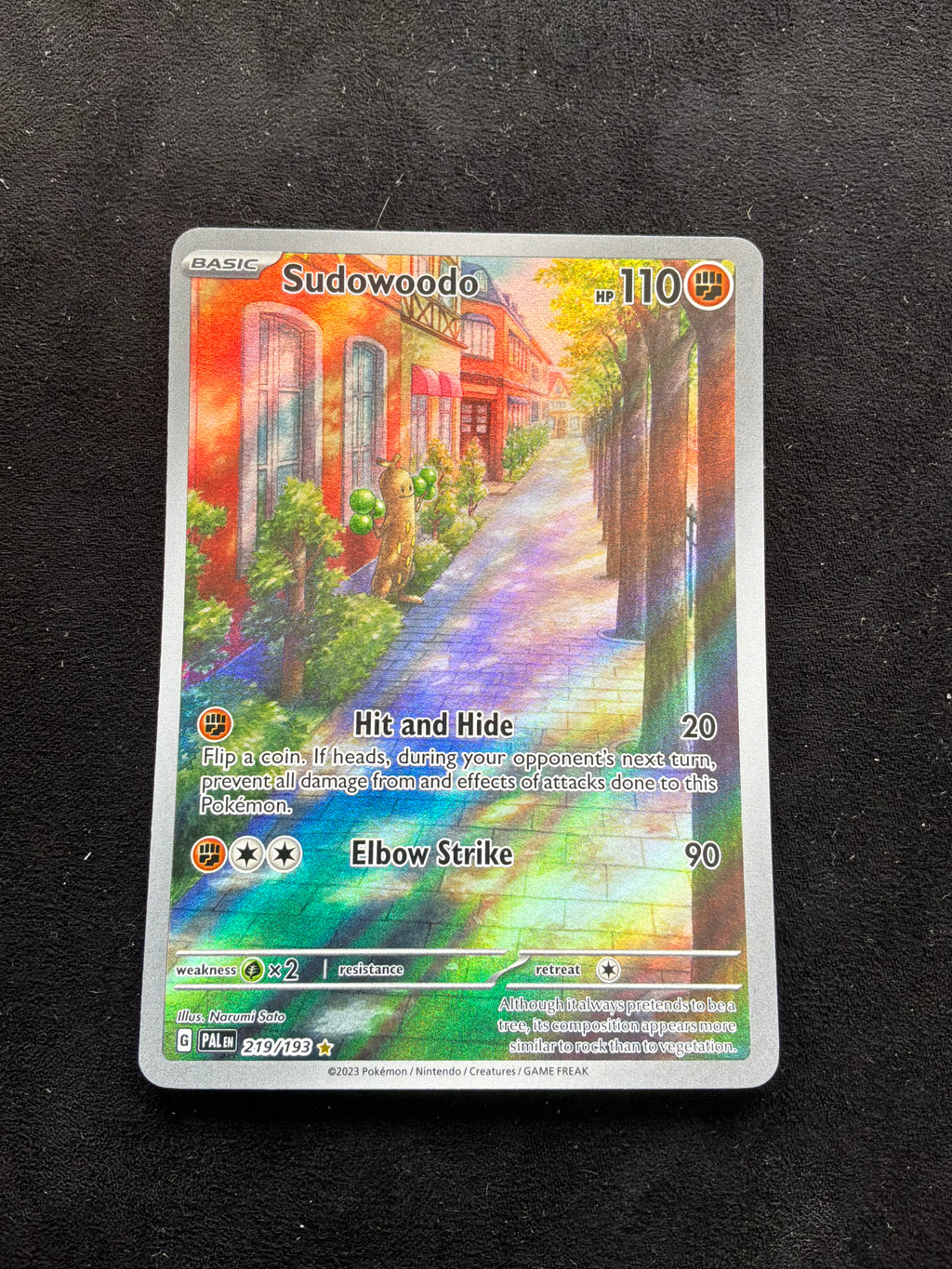 Sudowoodo 219/193